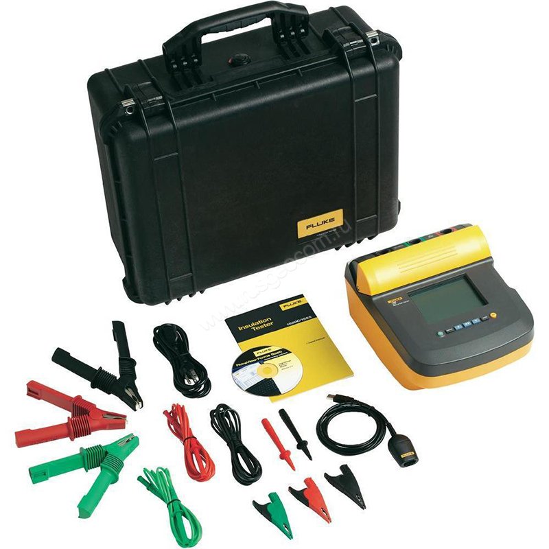 Мегаомметр Fluke 1555/KIT
